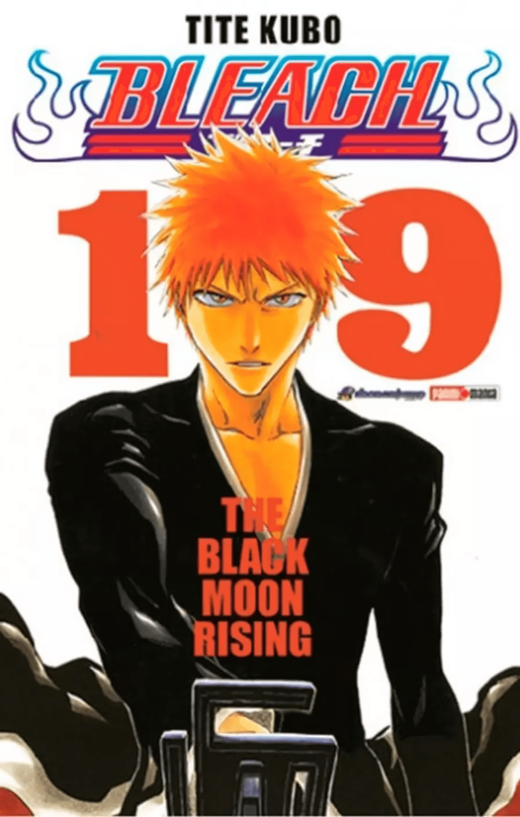 Bleach Vol. 19 (Español) - Kinko