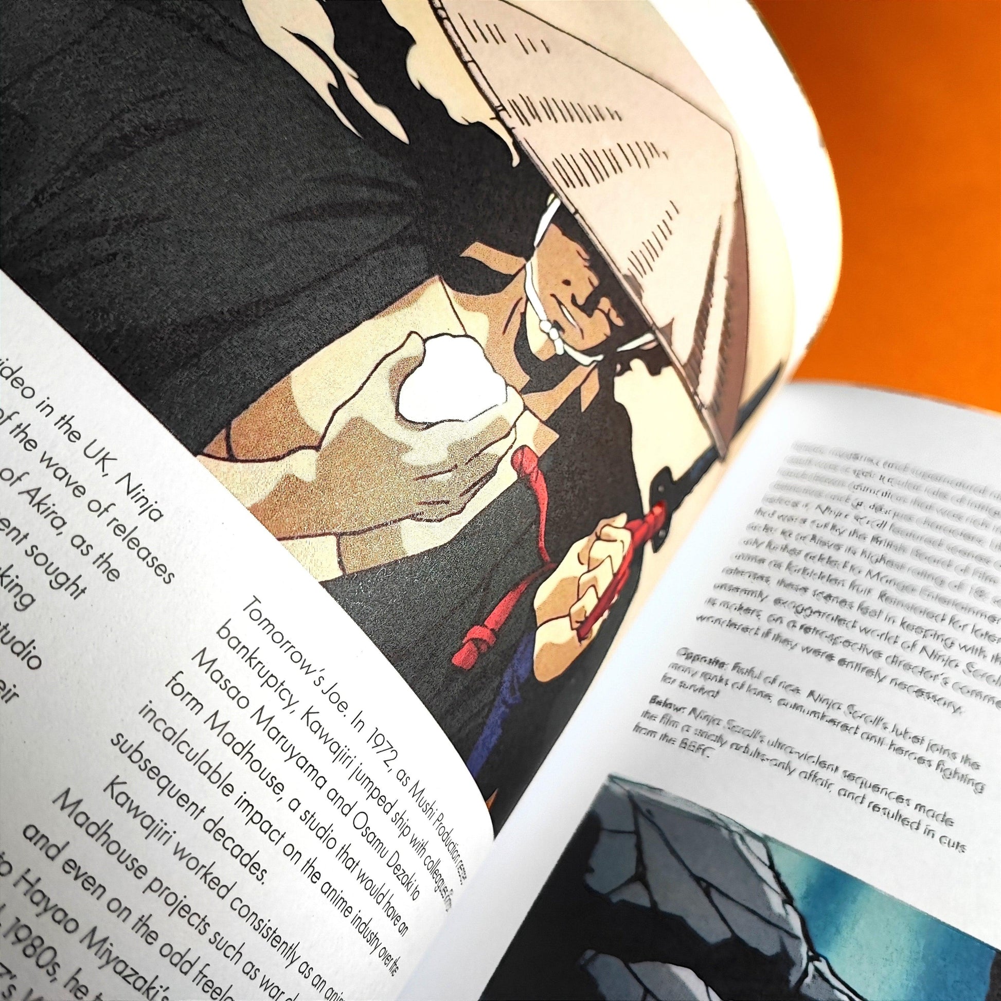 The Ghibliotheque Guide to Anime - The Essential Guide to Japanese Animated Cinema (Inglés) - Kinko