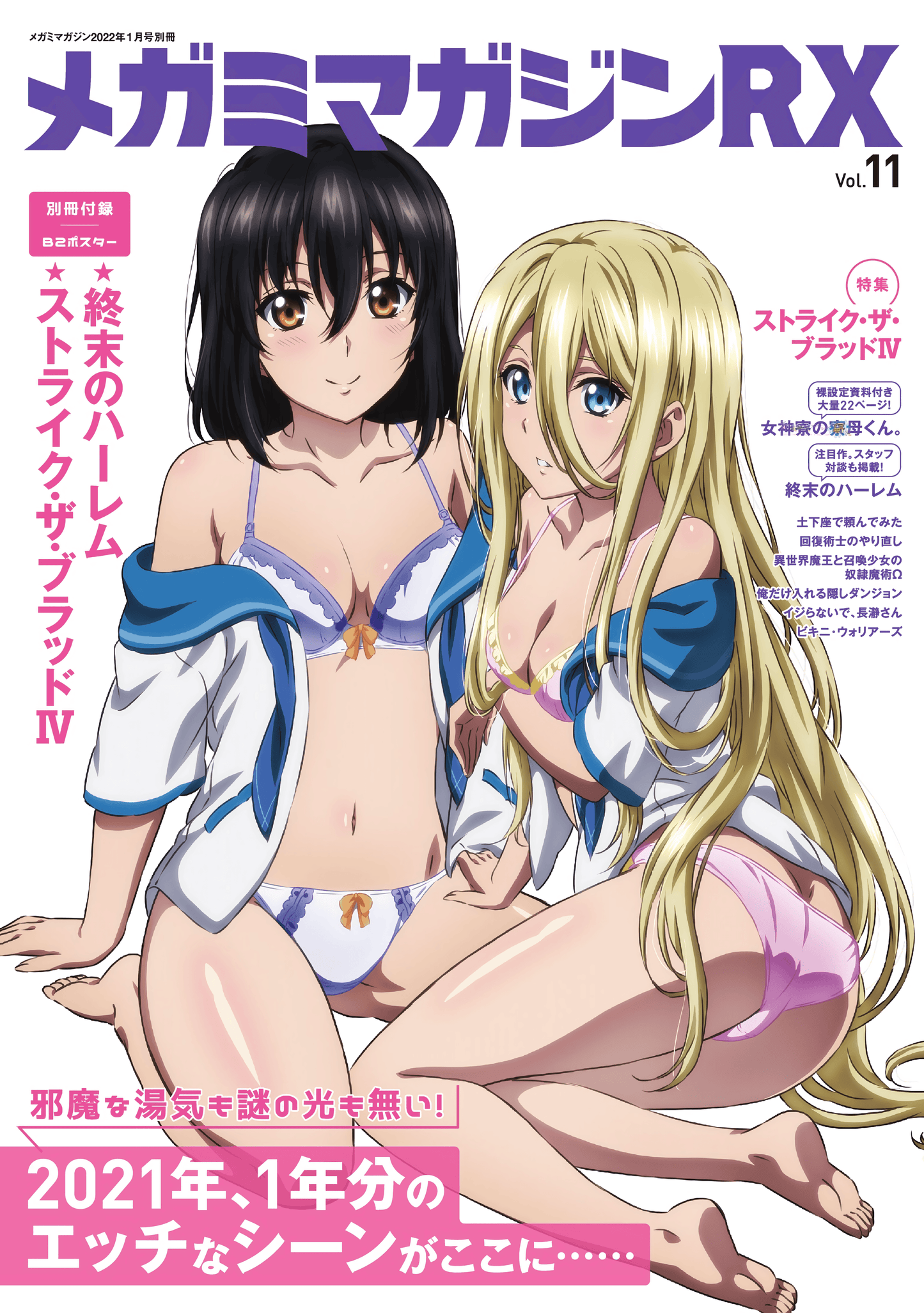 Megami Magazine RX Vol. 11 - 2021 (Japonés) - Kinko