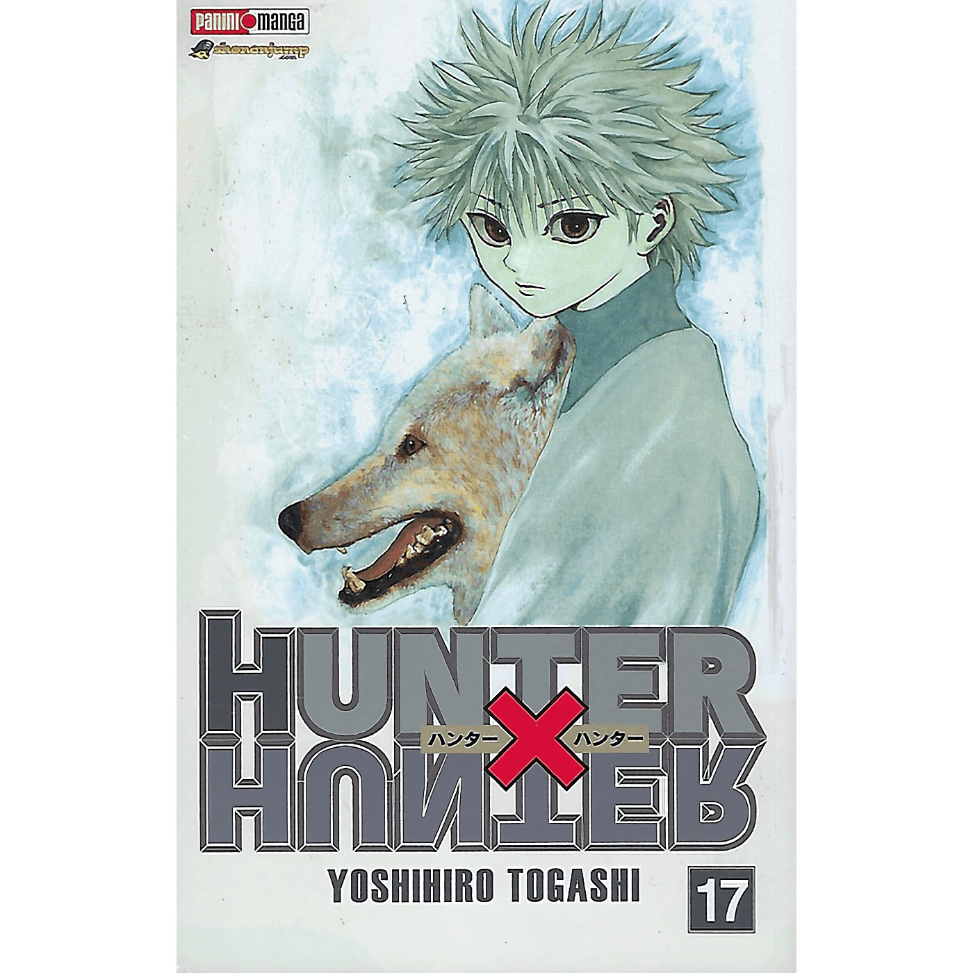 Hunter X Hunter Vol. 17 (Español) - Kinko