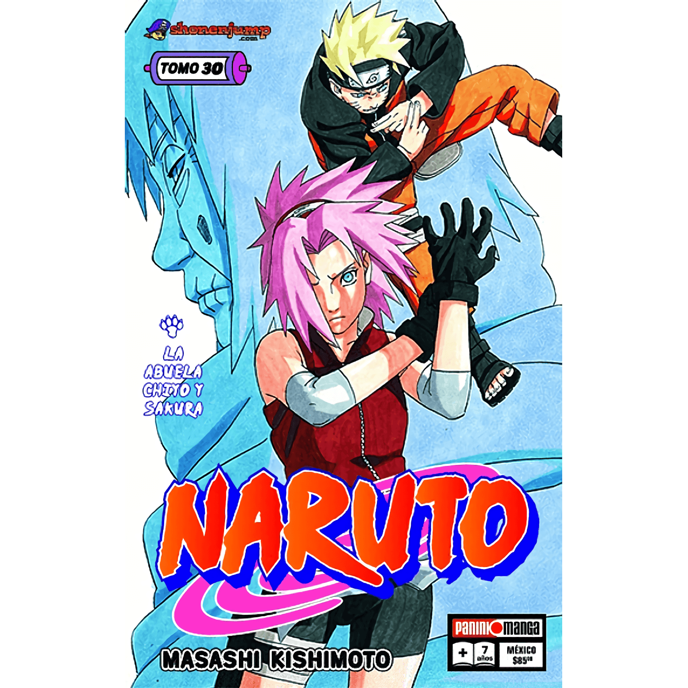 Naruto Vol. 30 (Español) - Kinko