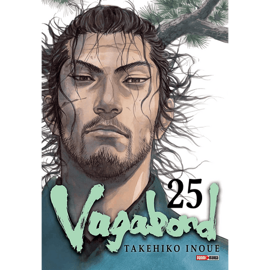 Vagabond Vol. 25 (Español) - Kinko