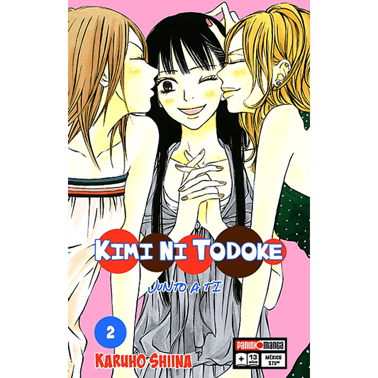 Kimi Ni Todoke Vol. 2 (Español) - Kinko