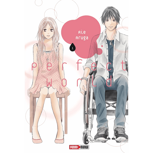 Perfect World Vol. 1 (Español) - Kinko